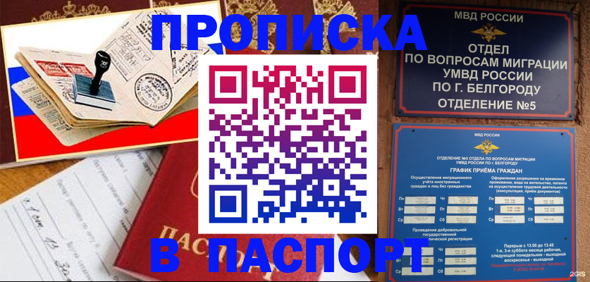 купить прописку в Михайлове